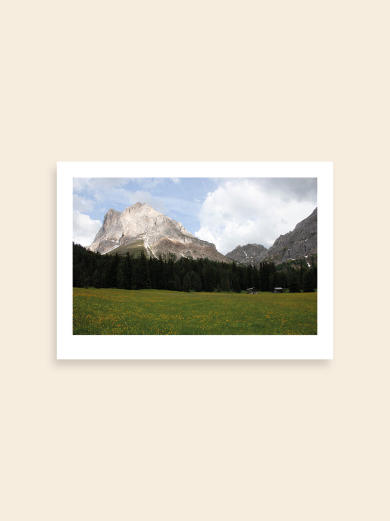 BALDESSARI_2_artqoo_woocommerce_25x35 Würzi