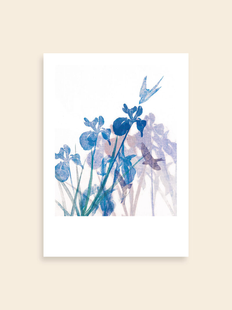 HISHIKI_1_artqoo_woocommerce_35x25 Kachō-ga 花鳥画 - Iris e rondine