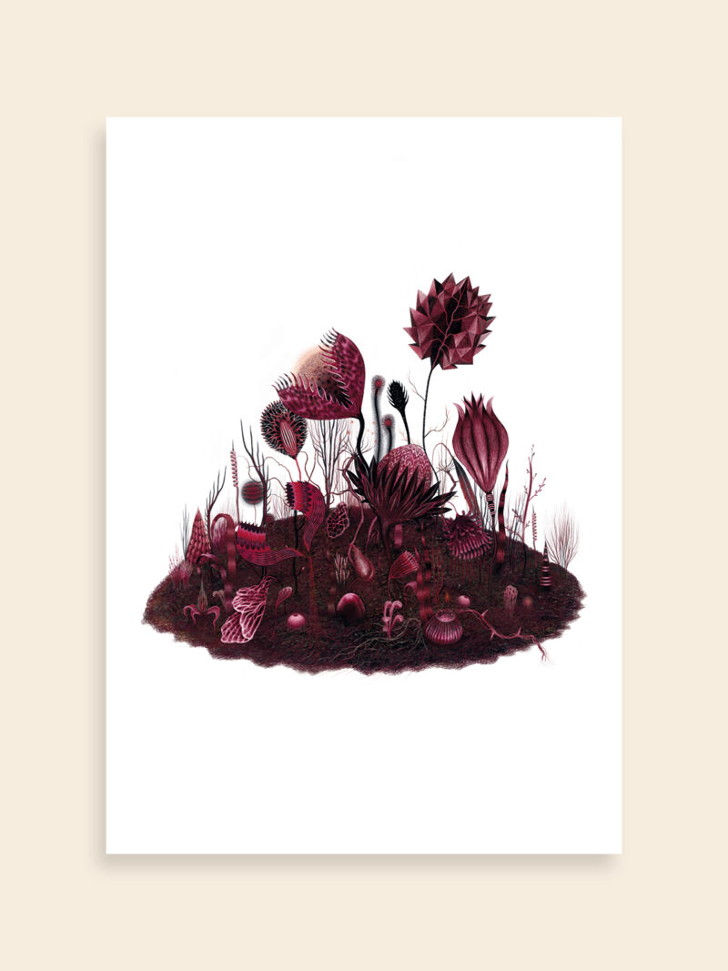 IBRAHIMI_2_artqoo_woocommerce_50x35 Giardino #5 (Neraria-Herbarium)