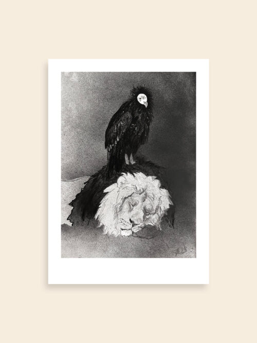 SPINA_2_artqoo_woocommerce_35x25 Il fascino discreto